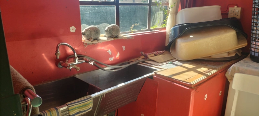 5 Bedroom Property for Sale in Langenhovenpark Free State